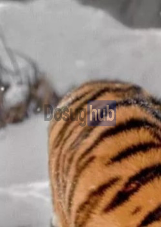 Проститутка Ира